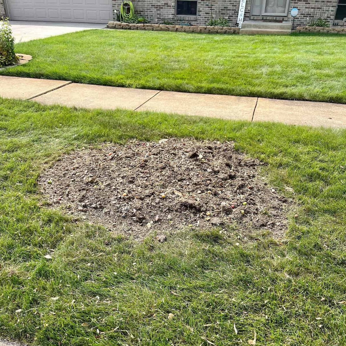 After - Clean yard after stump removal
